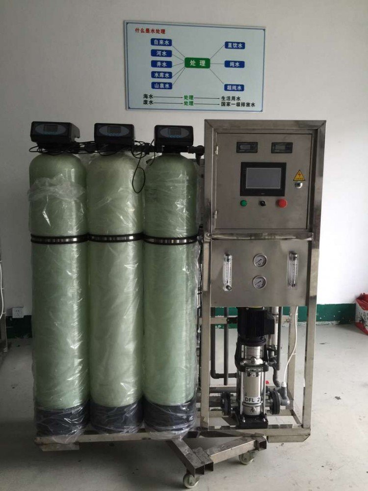 0.5噸反滲透純水設(shè)備(圖1)